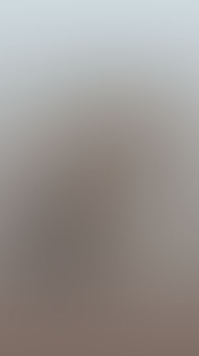 Se