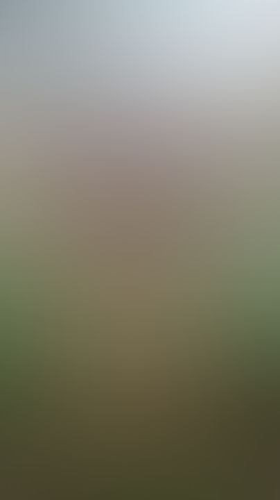 Hada sexy 🧚‍♀️