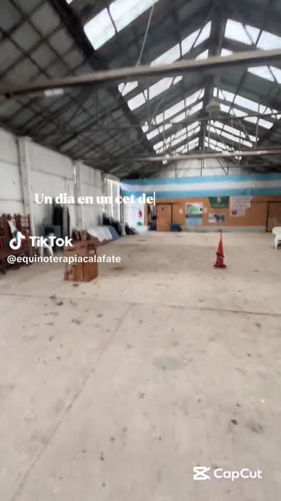 Un día de trabajo 🐎