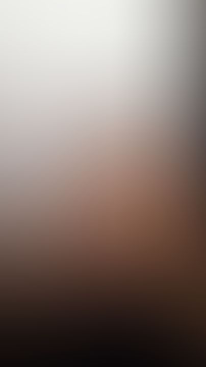 1333