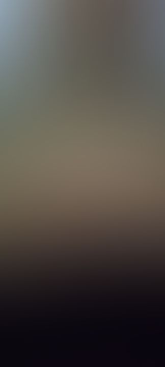 Variadito