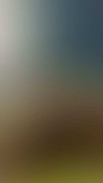 En 4